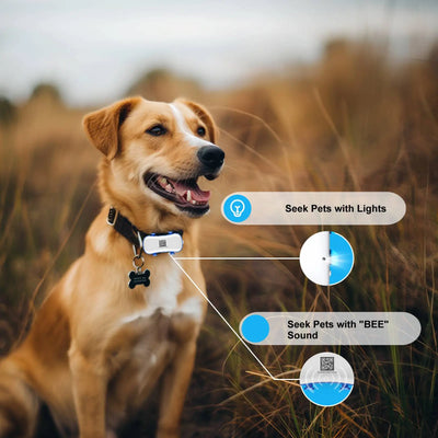 GP30 — Умный трекер для домашних животных