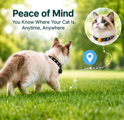 2-Pack AirTag & TrackerOne Compatible Cat Collar