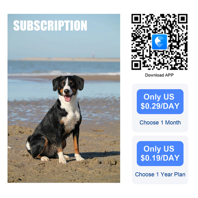 dog gps tracker price